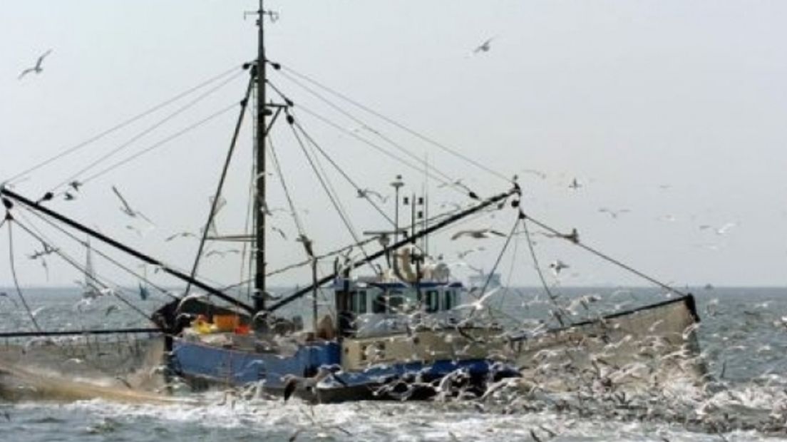 Brits kustverbod bedreigt ook Zeeuwse vissers