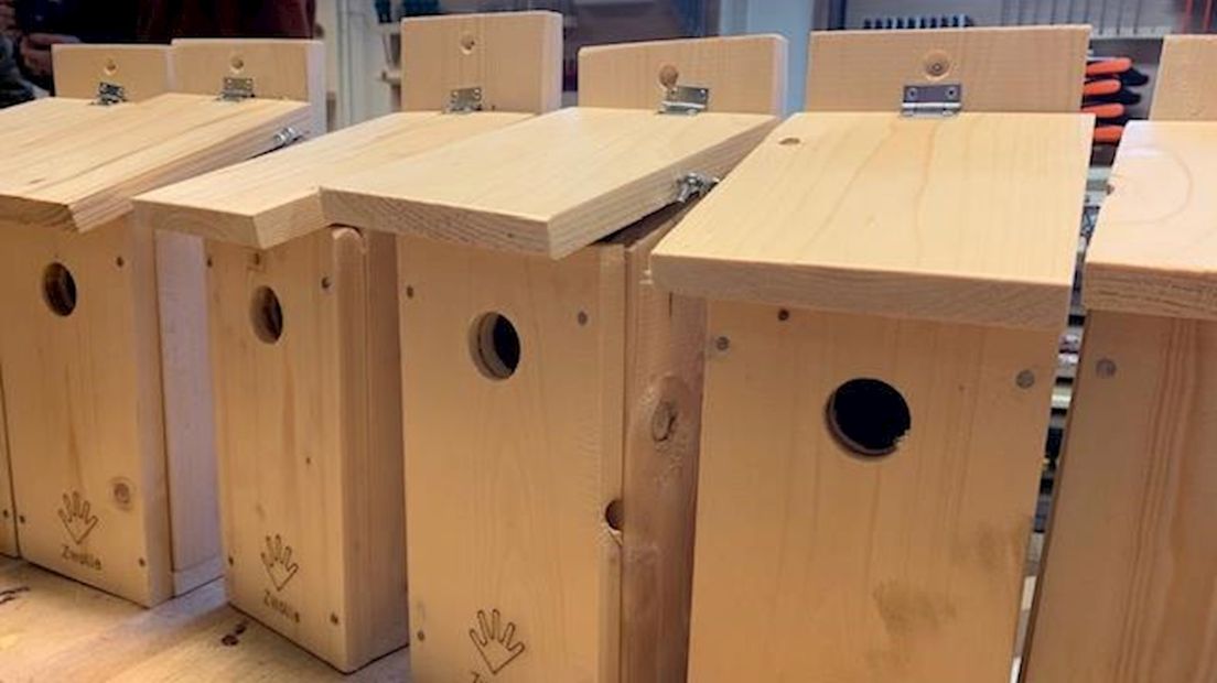 Zwolse leerlingen bouwen 200 nestkasten in strijd tegen eikenprocessierups