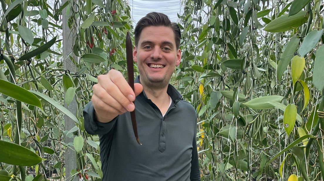 Stijn Baan met één van de eerste Nederlandse vanille-peulen