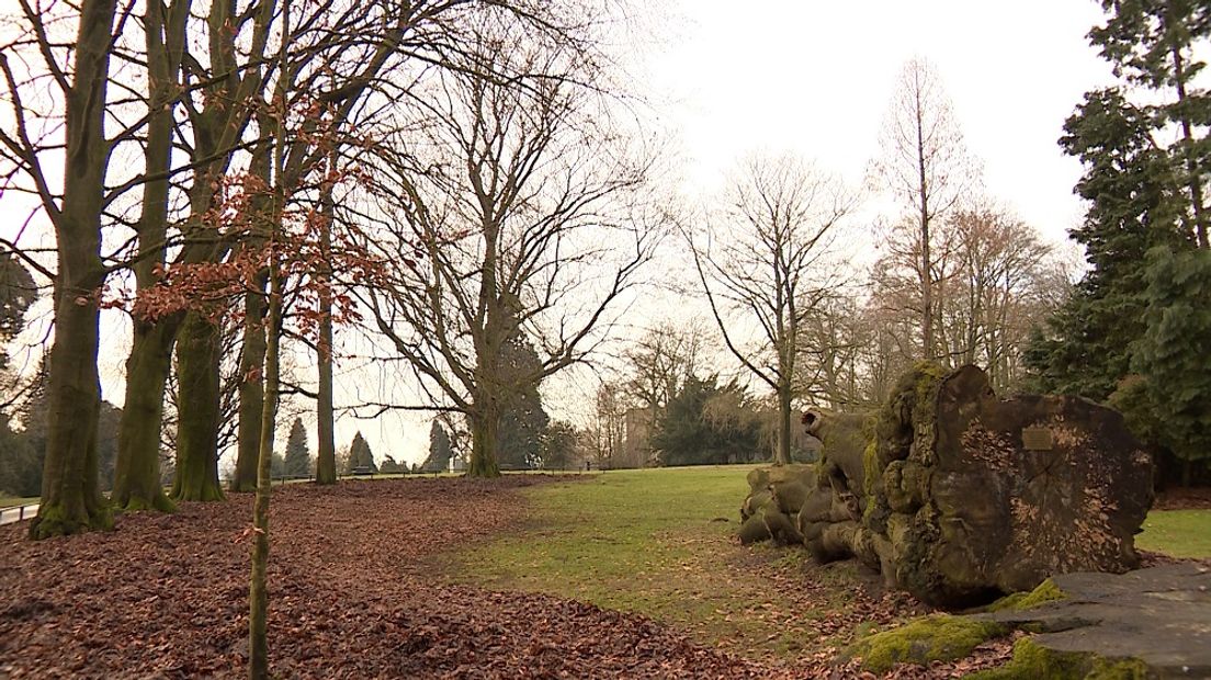 In Renkum zien ze de bui al hangen. De gemeente wil 31 beelden van Jits Bakker aanschaffen, maar die komen niet naar zijn geboortedorp Renkum. Renkummers verzetten zich tegen 'het grote Oosterbeek' dat toch al zo veel kunst en cultuur naar zich toetrekt.