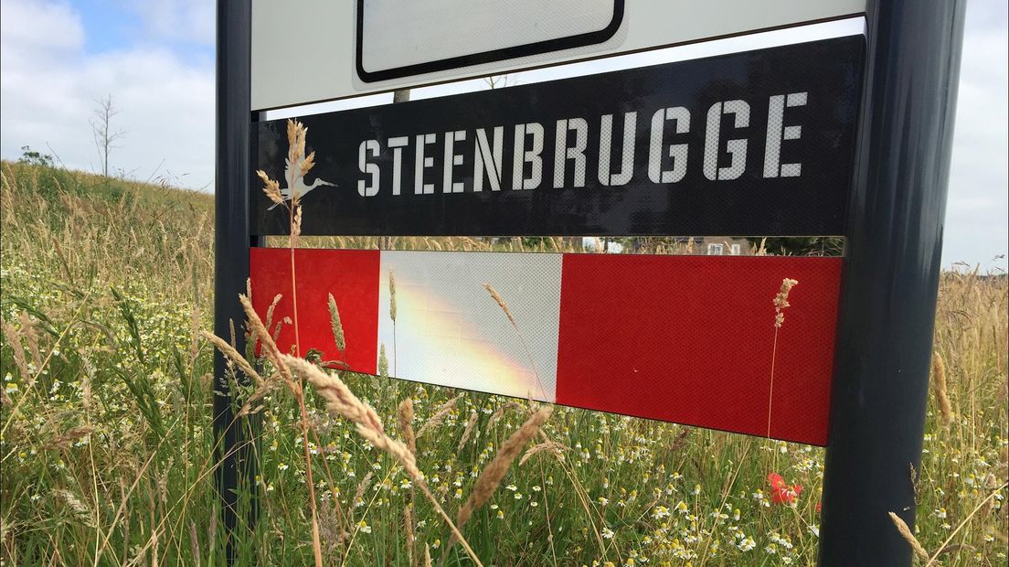 In en bij de duurzame, gasloze wijk Steenbrugge is geen plek voor een grote biomassacentrale