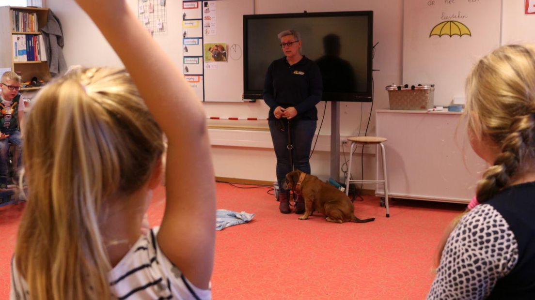 Kinderen krijgen snuffelcollege op school (Rechten: Dylan de Lange/RTV Drenthe)