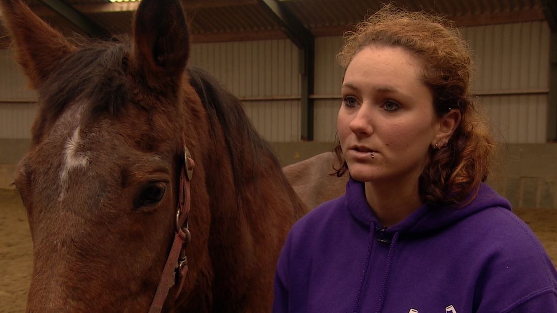 Cheyenne Roeg - stichting Paardenwelzijn
