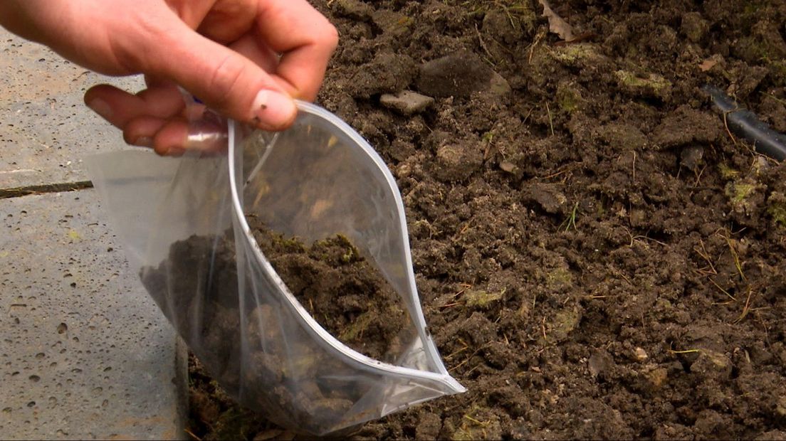 Verveeld? Ga in de tuin aan de slag