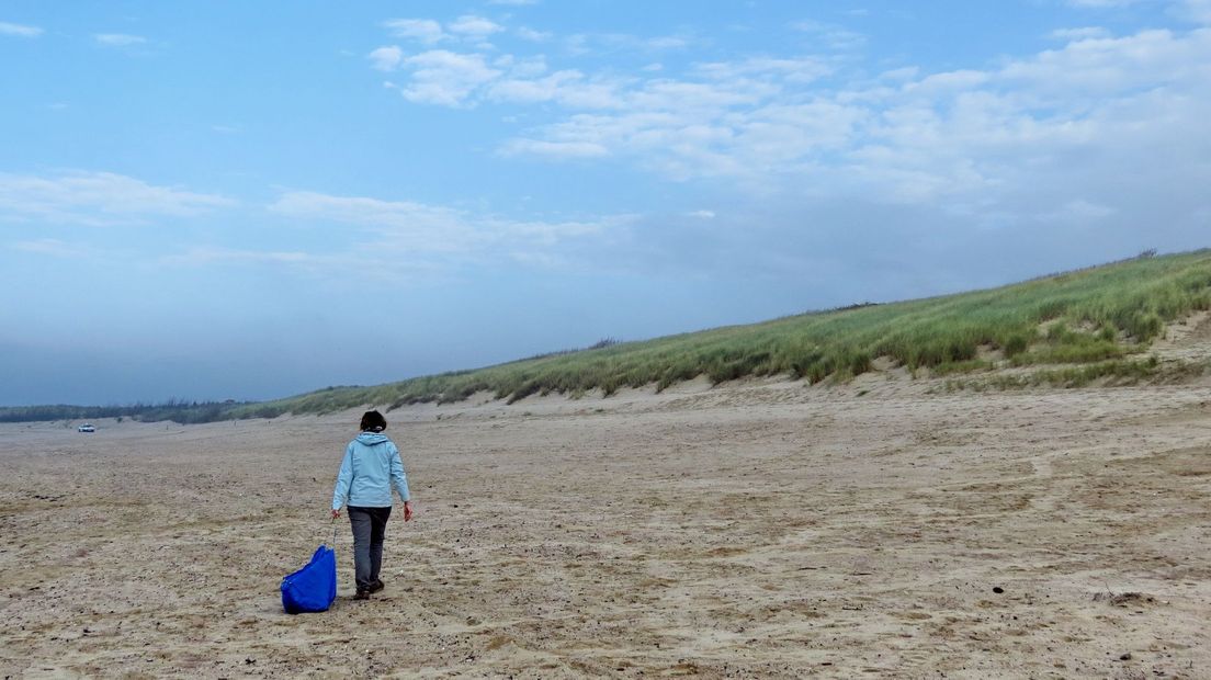 Vrijwilligers ruimen de stranden langs de Westerschelde op