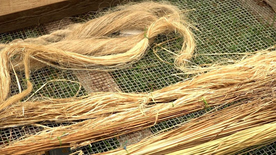 De vlasindustrie was groot in Winterswijk