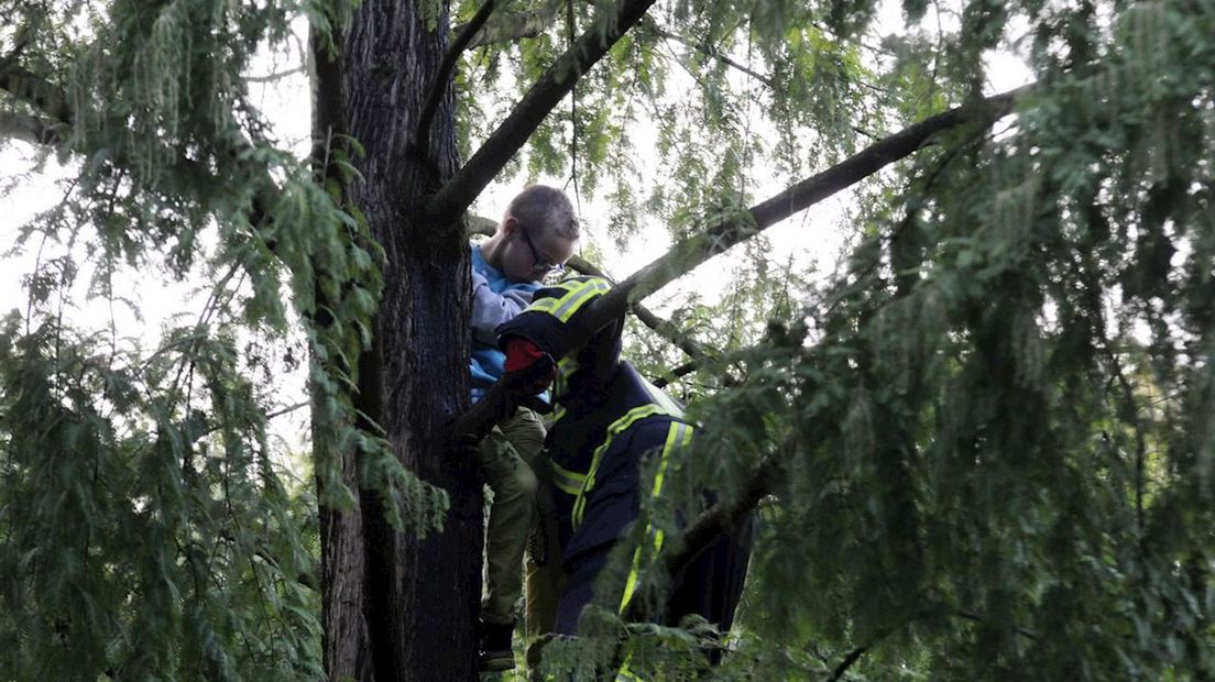 Kind uit boom gered door brandweer