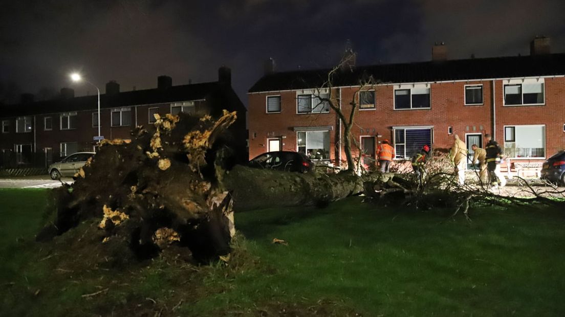 In de Violenstraat in Sappemeer viel een boom precies tussen geparkeerde auto's