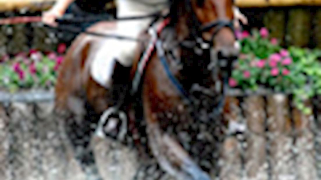 Special Military Boekelo op TV Oost
