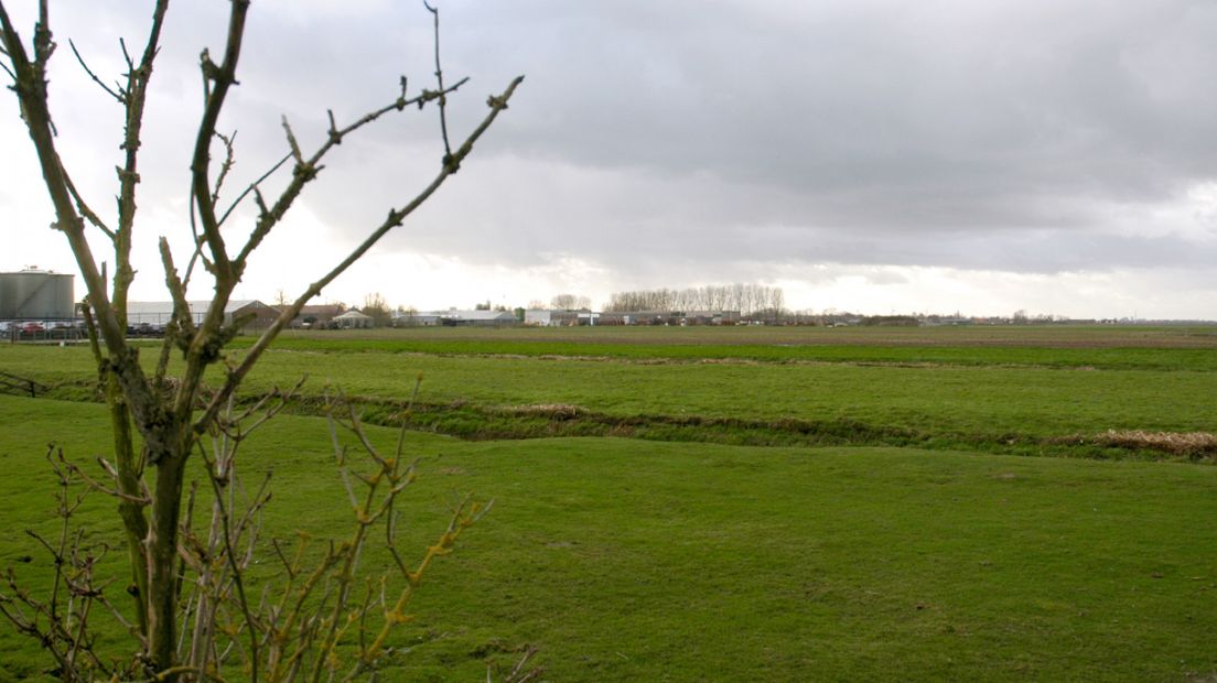 Het 'uitgestrekte' uitzicht in de Gnephoekpolder