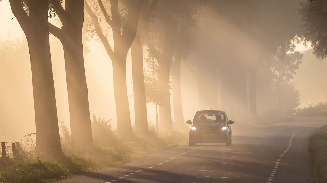 Plaatselijk zeer dichte mist