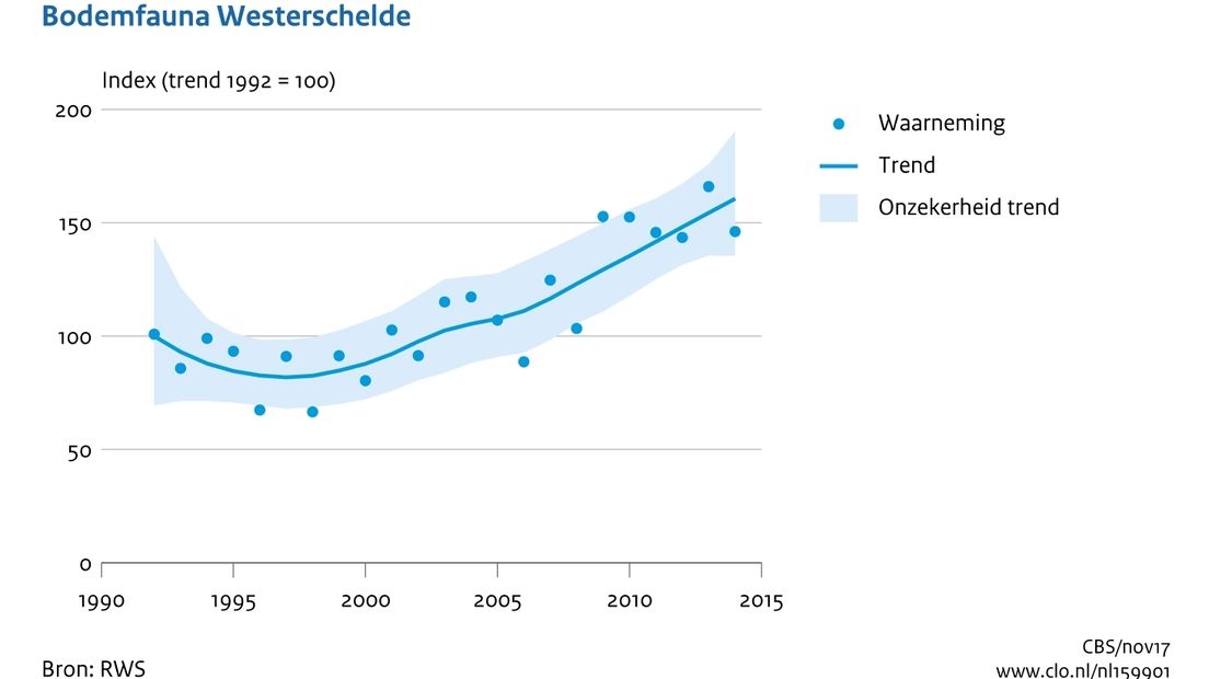 Aantal bodemdieren in Westerschelde is flink toegenomen