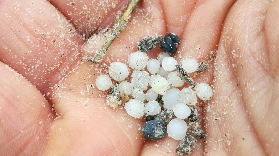 De kleine stukjes plastic worden door vogels opgegeten