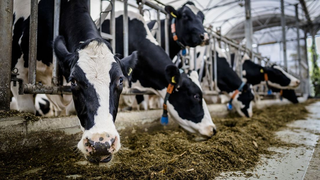 The first farmers are told to leave, the province makes excuses