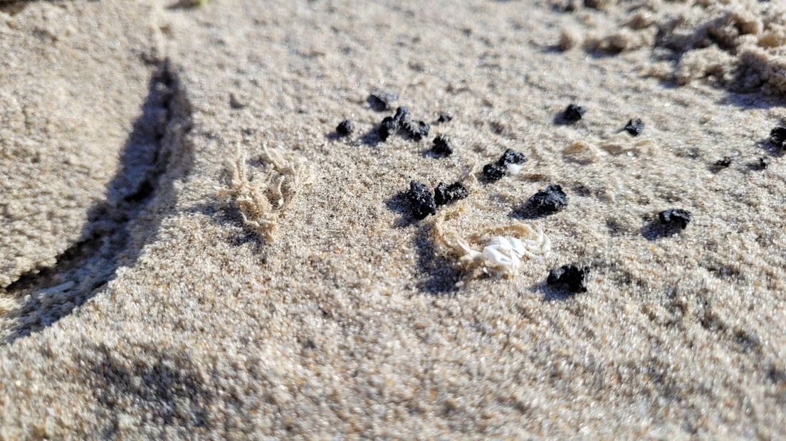 De kleine bolletjes stookolie op de Zeeuwse stranden