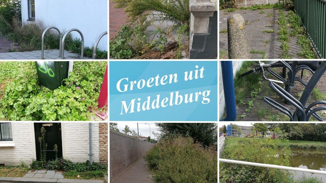 Middelburg is onkruidkampioen van Zeeland
