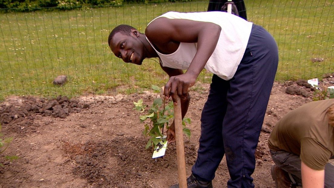 Moestuinen AZC