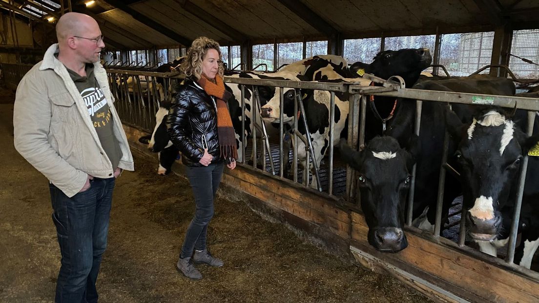 Rust, koeien en begeleiding op zorgboerderij Aldegea voor misbruikte vrouwen - Omrop Fryslan