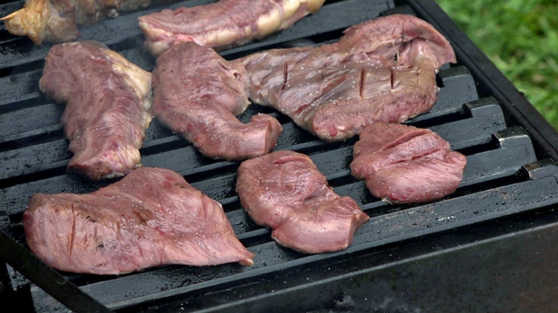 Vlees op de grill in het Rijswijkse Wilhelminapark
