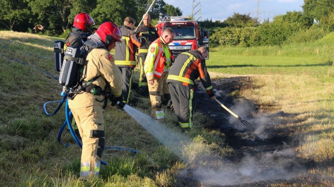 Firefighters extinguish the roadside fire