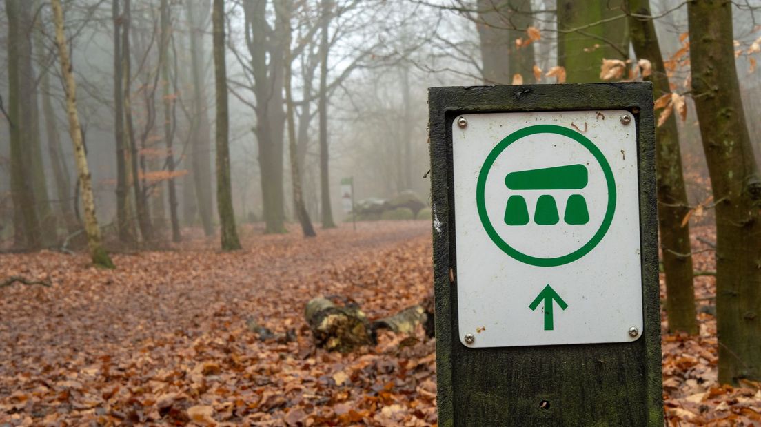 Wat is er dit weekend te