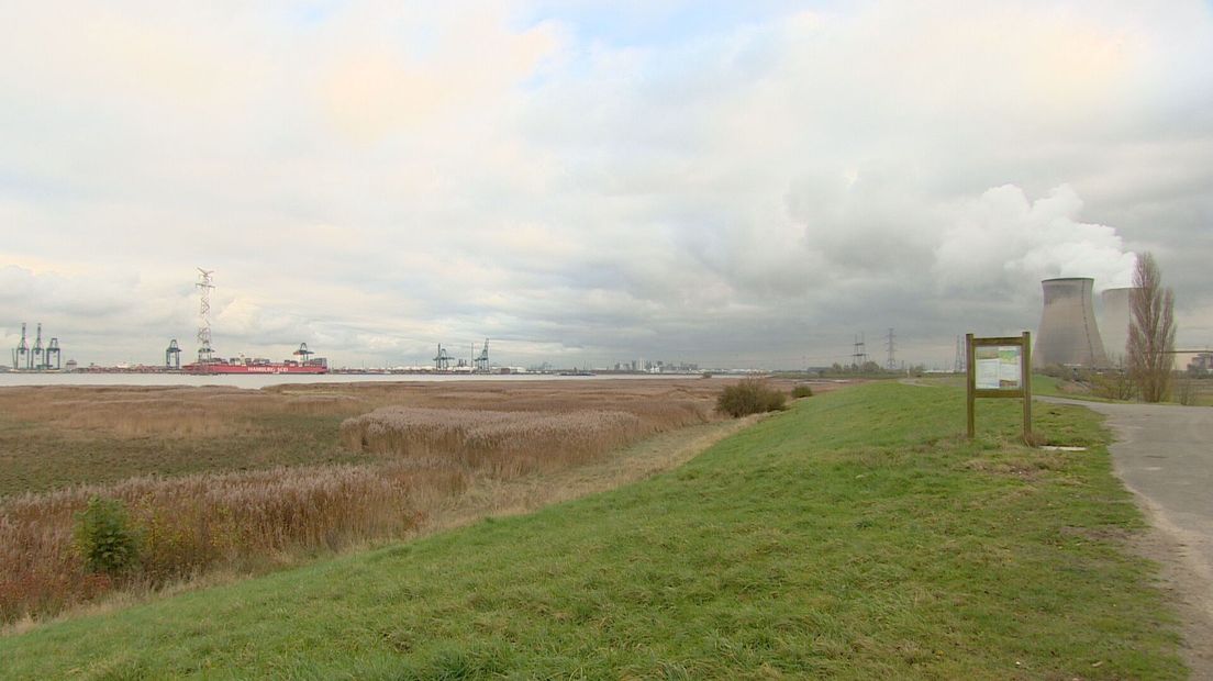PFAS-bagger op grens