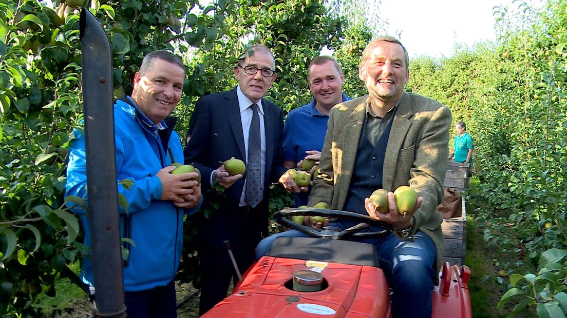 Burgemeesters plukken eerste peren in Kapelle