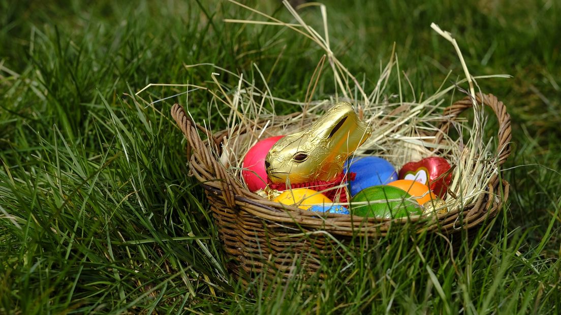 Dit Paasweekend kun je eieren zoeken bij het Boomkroonpad (Rechten: Pixabay.com)