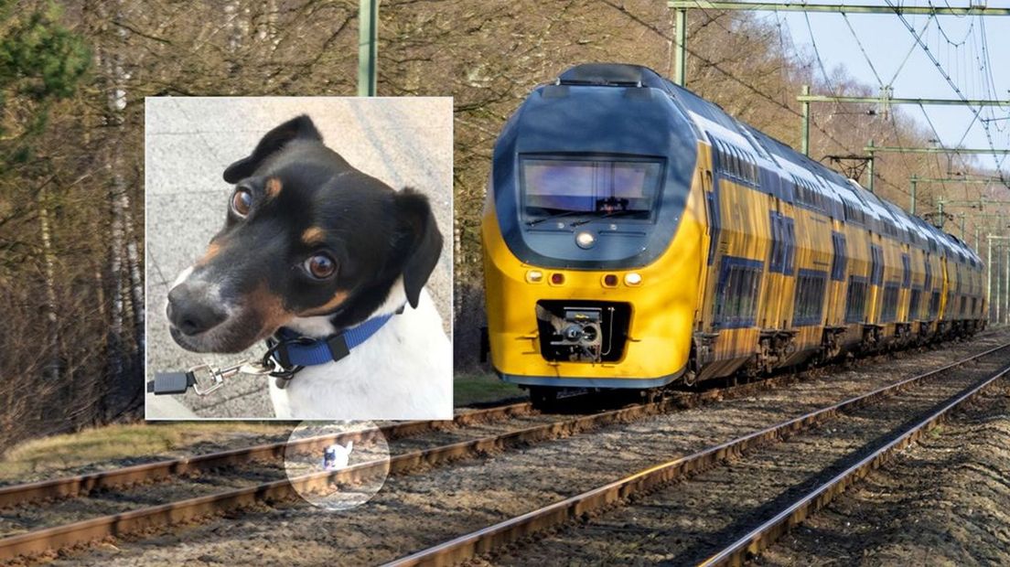 Kleine Nonna rent in blinde paniek voor de trein uit op het spoor.