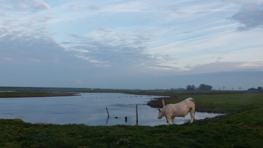 Mooie vergezichten in de buurt van Zierikzee