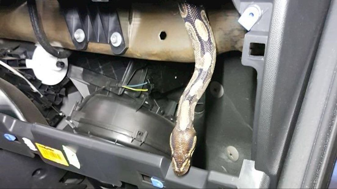 Python gevonden in dashboardkastje