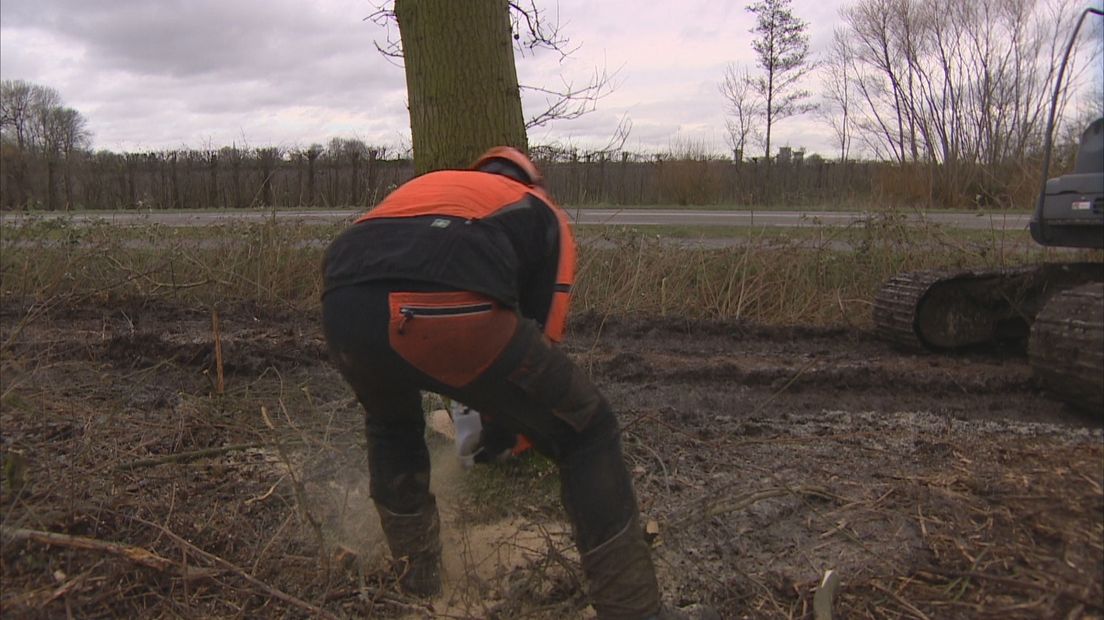 Start bomenkap Biezelinge voor komst geluidswal (video)