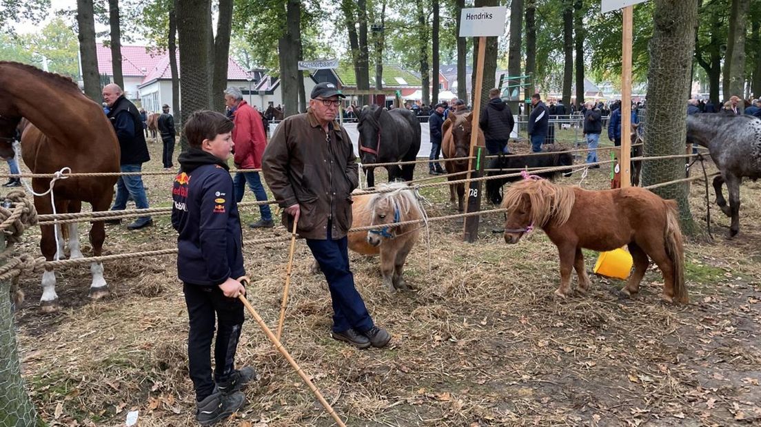De paardenmarkt
