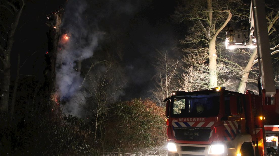 De metershoge boom vatte vlam vlakbij het Brandweermuseum in Rijssen
