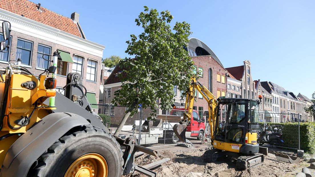 Verwijderen van zieke kastanjebomen in Zwolle