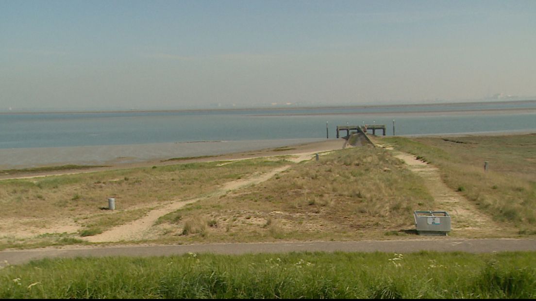 Strandje Hoofdplaat nog steeds vol onkruid (video)
