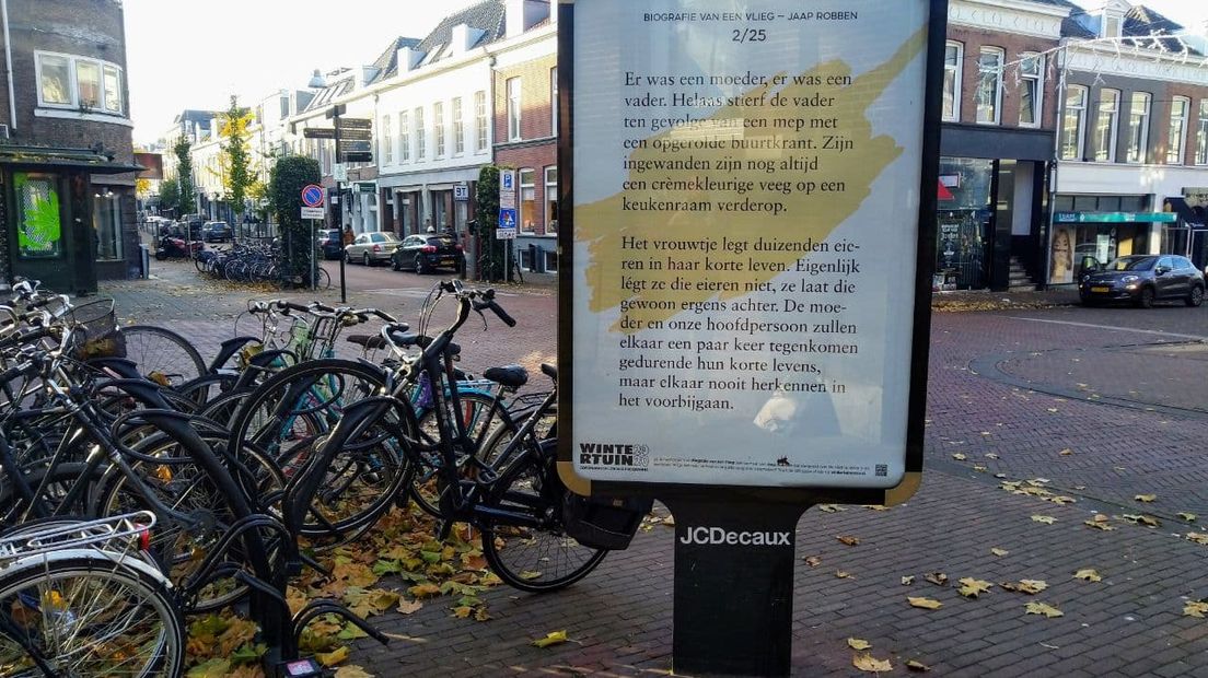 'Biografie van een Vlieg' hangt vanaf nu in 25 bushokjes in Nijmegen.