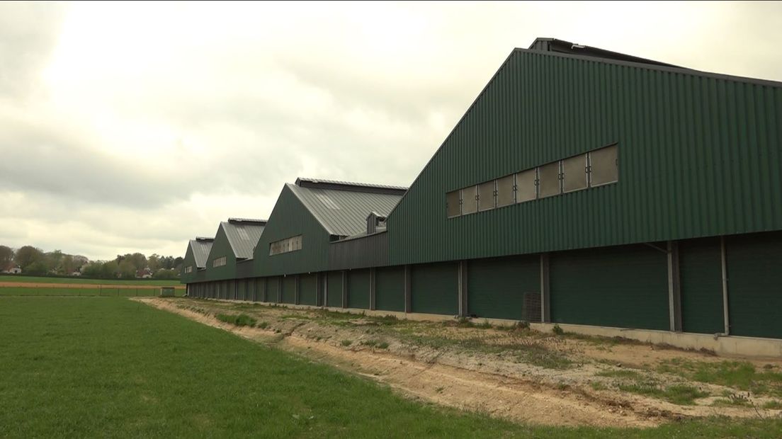 Een melkfabriek in Groesbeek moet een einde maken aan de jarenlange ellende die op dezelfde plek werd veroorzaakt door een mega kippenfarm. Donderdagavond wordt de buurt ingelicht over de plannen van miljonair Kees Koolen.