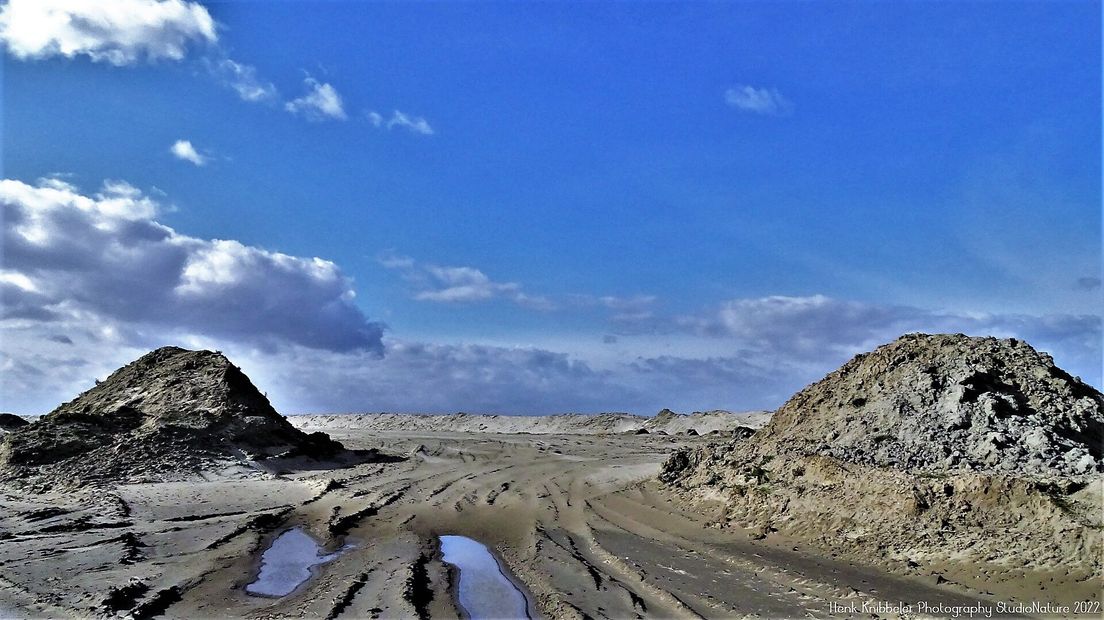 De Hedwigepolder in februari