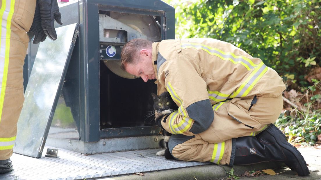 Brandweer redt kat uit afvalcontainer