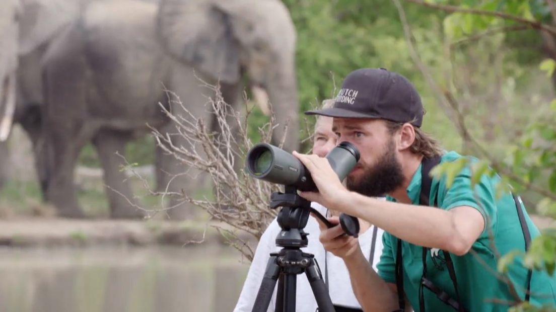 Vogelspotter Arjan Dwarshuis