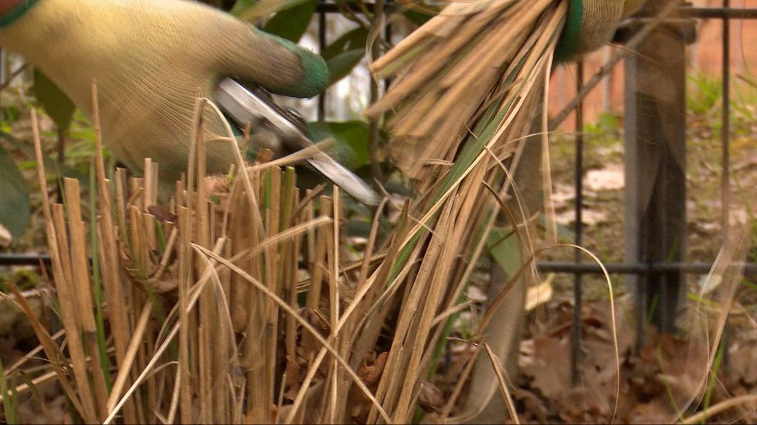 Verveeld? Ga in de tuin aan de slag