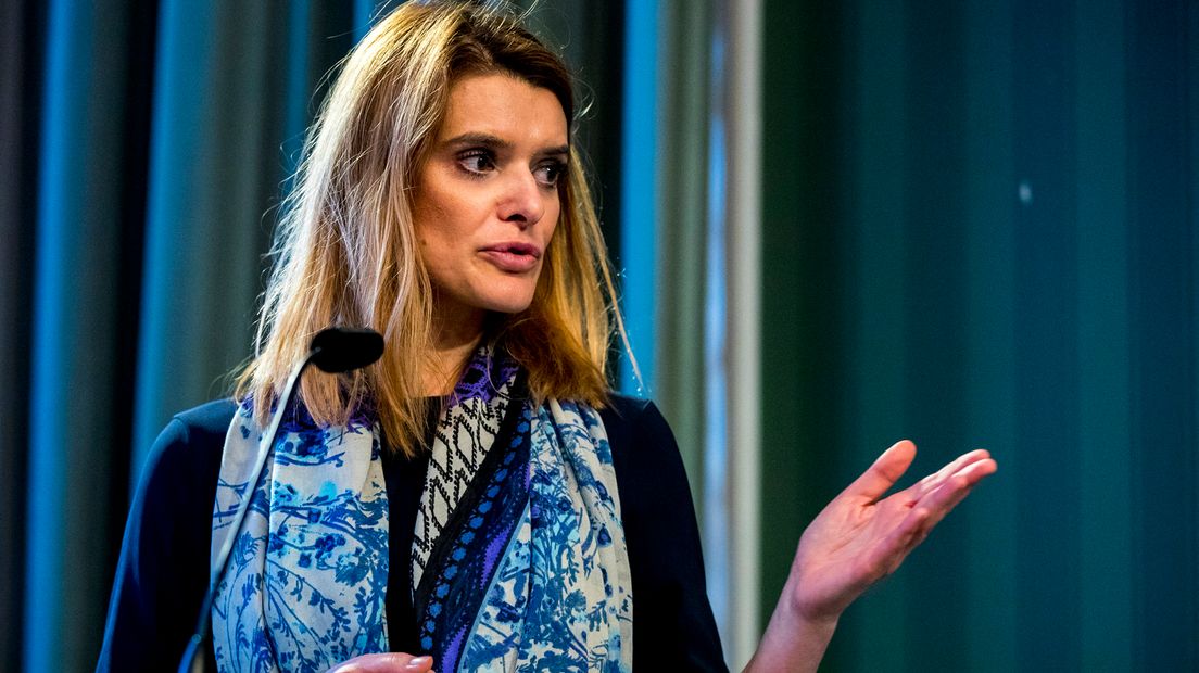 Staatssecretaris Visser van Defensie.