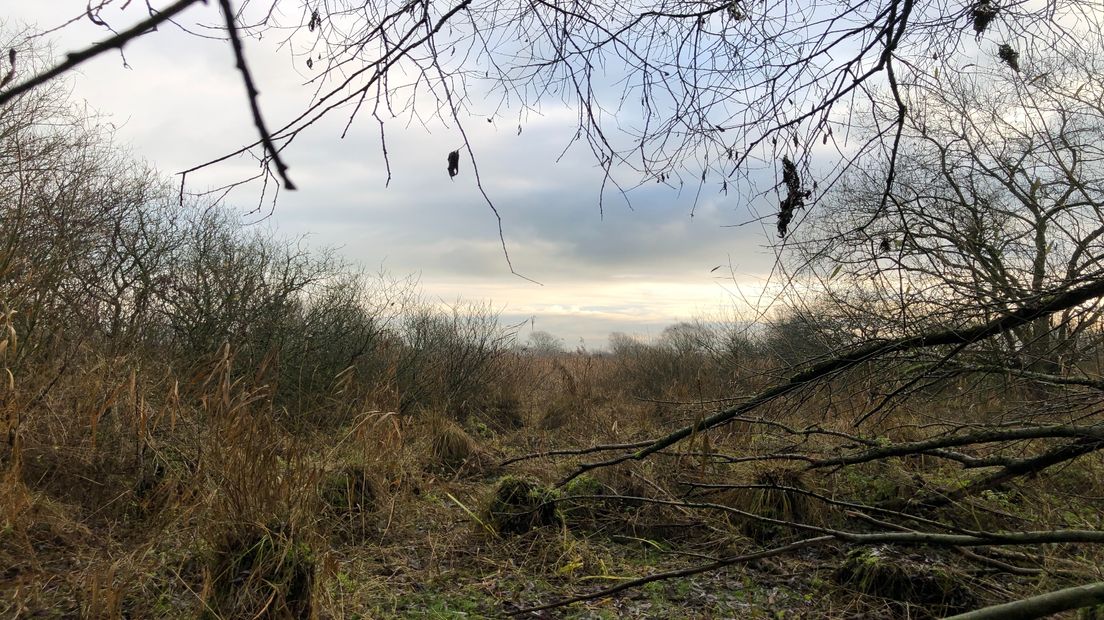 Aanleg natuurbegraafplaats 't Stort in Westerkwartier stap dichterbij - RTV Noord