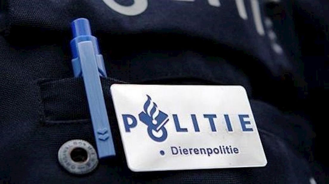Lawaaierig konijn kreeg geen bekeuring