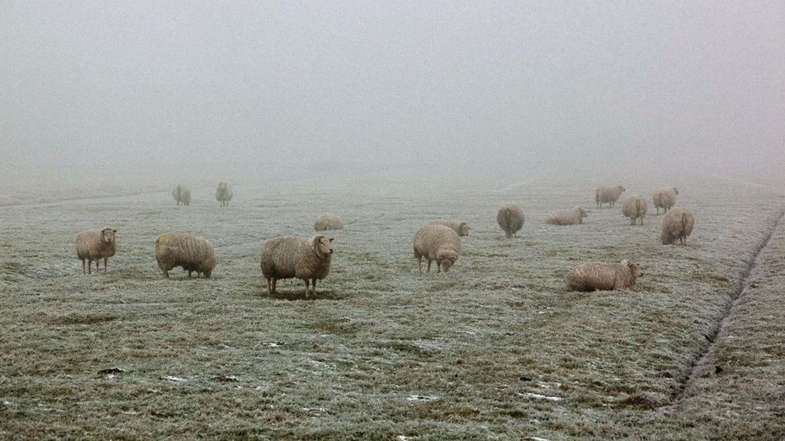 Het is deze maand vooral erg mistig in onze provincie.