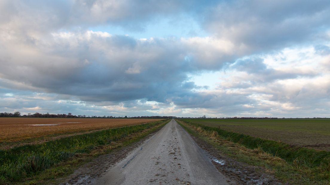 In de polder bij Zonnemaire