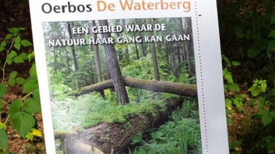 De natuur mag in het bos De Waterberg zijn gang gaan nu de gemeente het bos heeft aangewezen als oerbos. Dat klinkt natuurlijk leuk, maar wat is een oerbos eigenlijk?