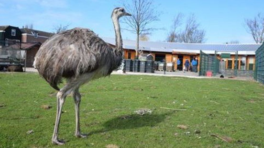 Al meer dan tweeduizend mensen hebben de petitie om de dierenweide te redden ondertekend.