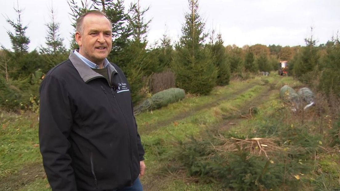 Gerrit Tessemaker denkt dat de kerstboom ietsjes duurder wordt.